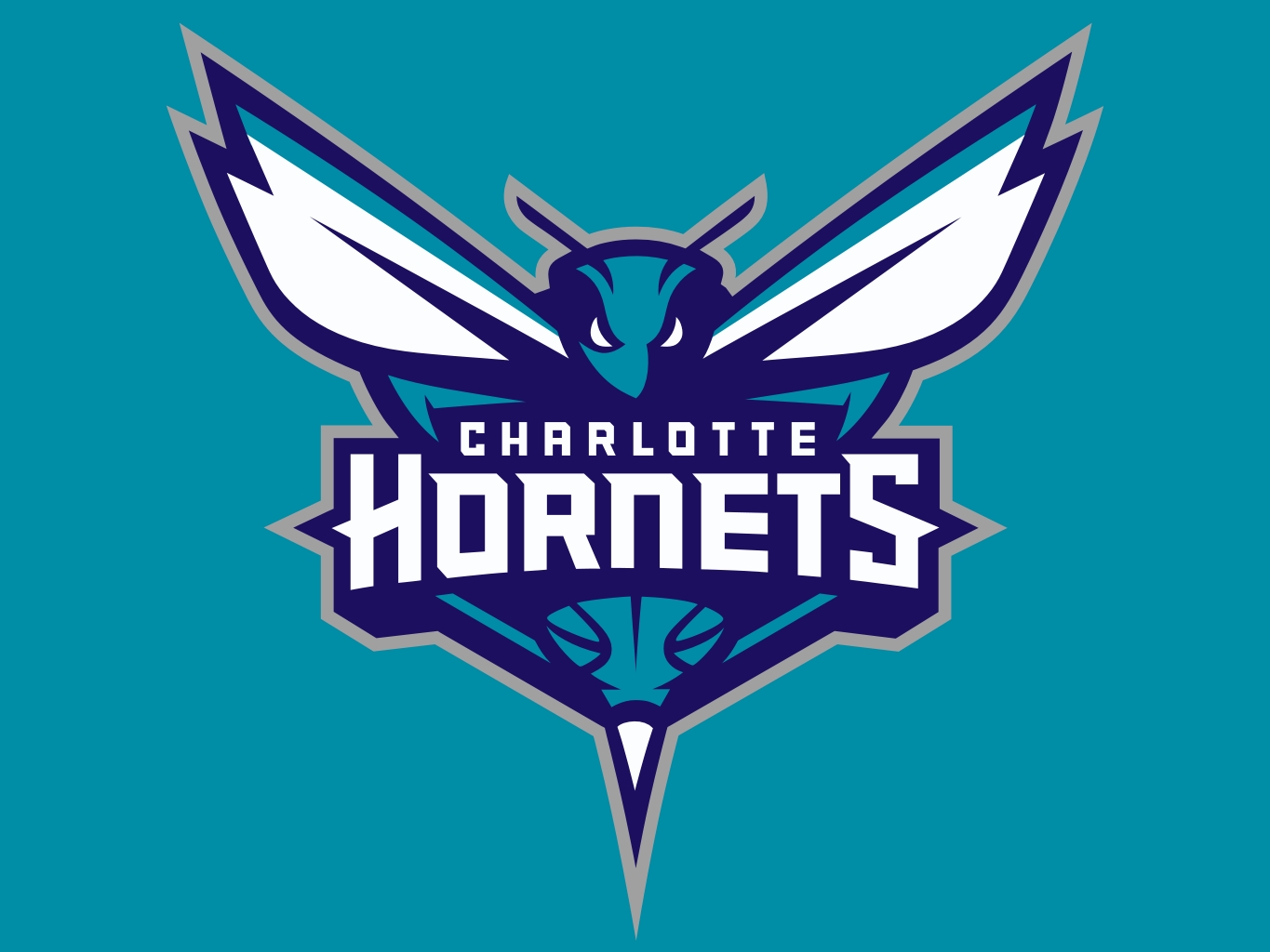 Charlotte Hornets Nail Decals - wide 9